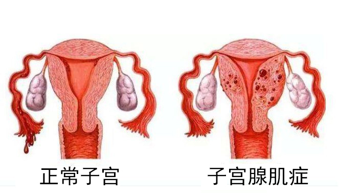 65ad800a1f4c4b98a753441f570c9133.jpeg