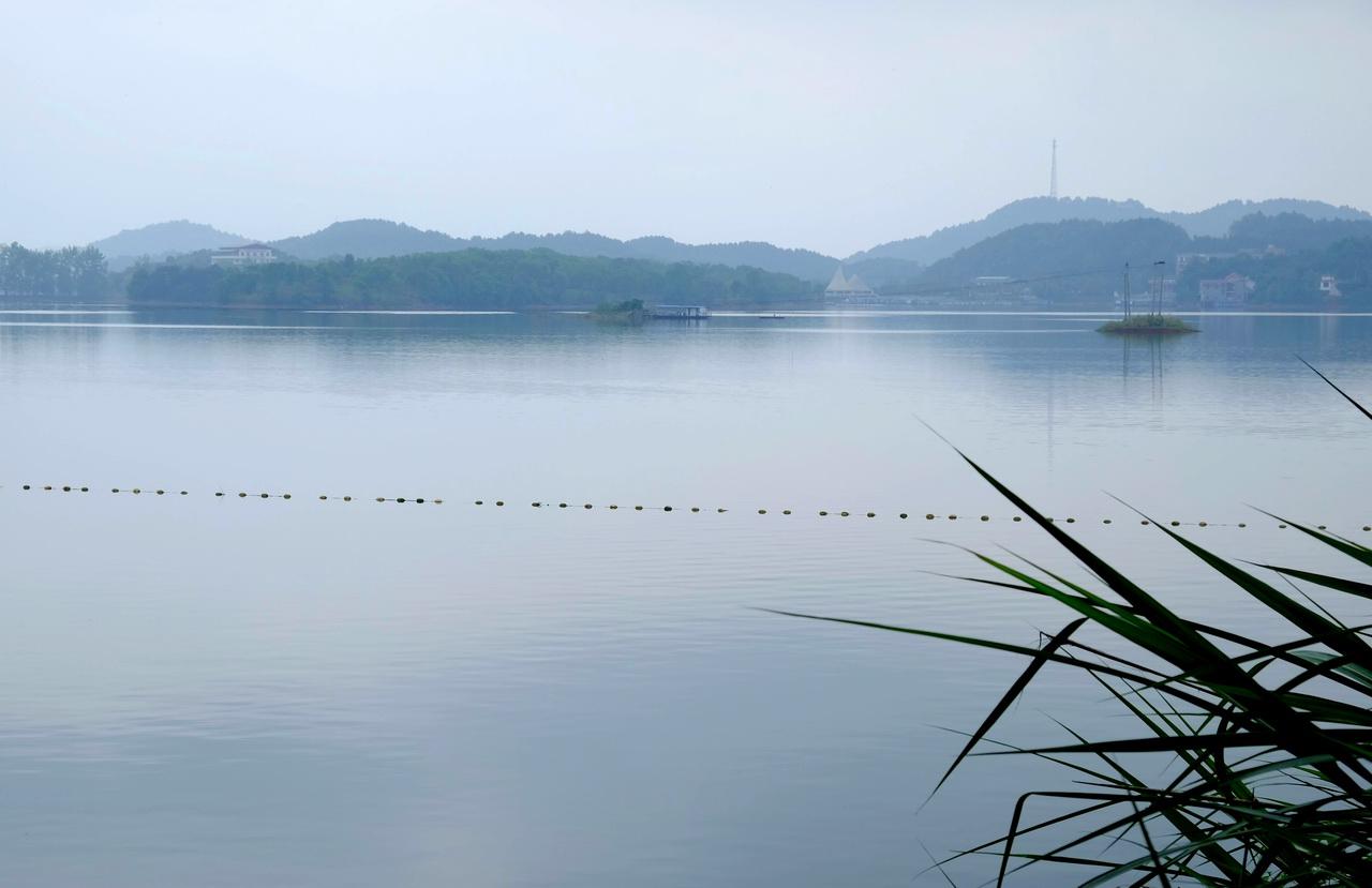 新化县西河镇经济总量_新化县西河镇图片