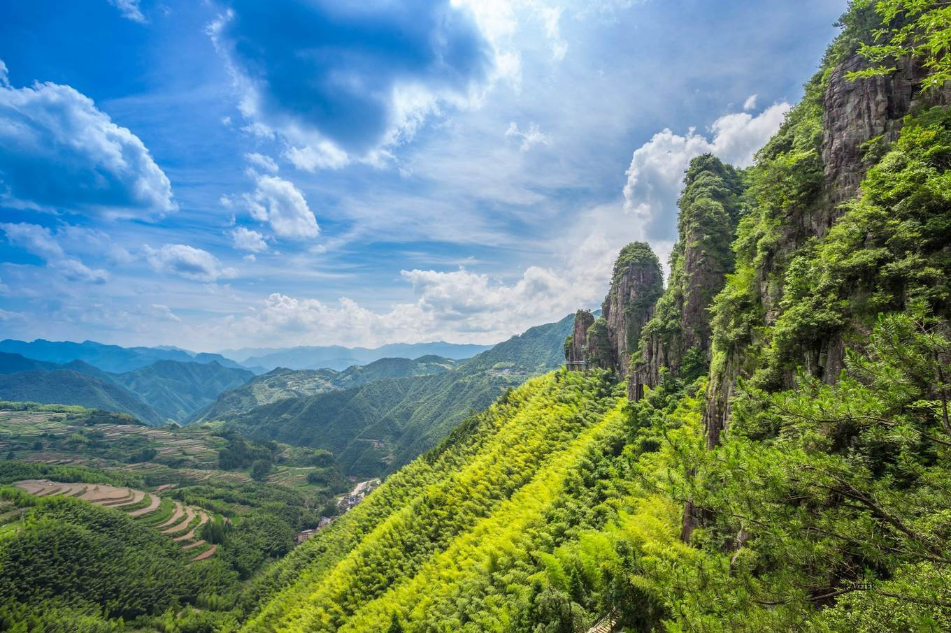 遂昌人口_遂昌叶大明图片