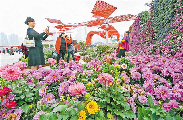 花博会为参展区县搭建了很好的展示交流平台