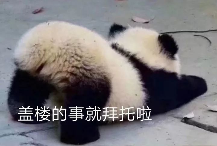 激动的心下单的手盖楼的事就拜托你了