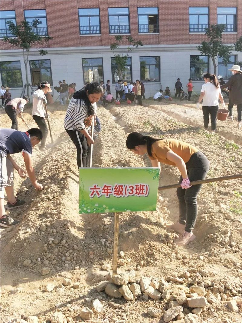 播种希望收获成长新圩学校学生劳动实践基地开种啦