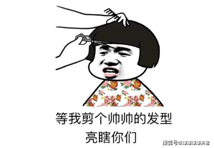 爆笑段子：我和女友去见她家长，女友去厨房帮忙了。_小伙子