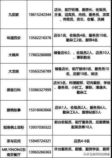 滕州招聘信息_工业强市 产业兴市 聚智滕州 人才招聘会举办