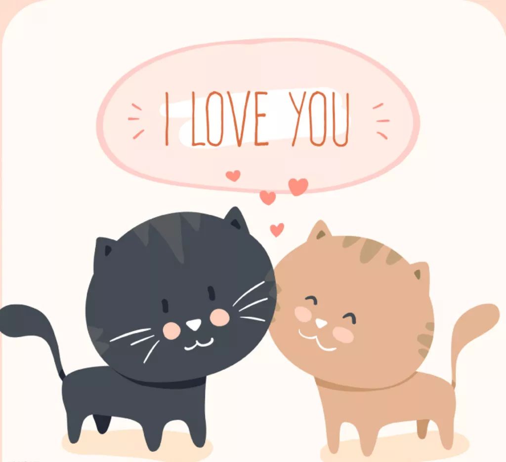 猫咪和人的卡通图片 924d5d571f4a46668ac02806c5aca0ad.jpeg