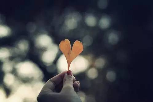 怎么做才能不那么想一个人 968a330005884e5698a240c3681397d7.jpeg