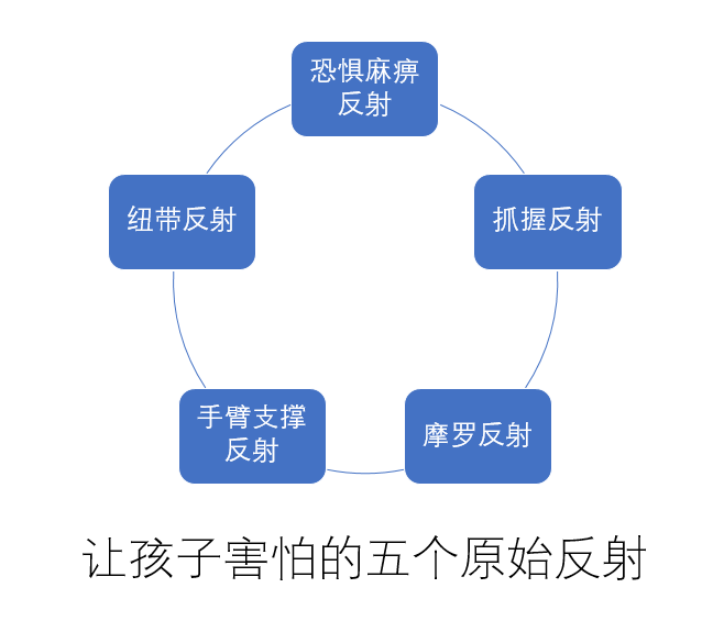 以下四个原始反射的存在,可能就会让孩子经常害怕