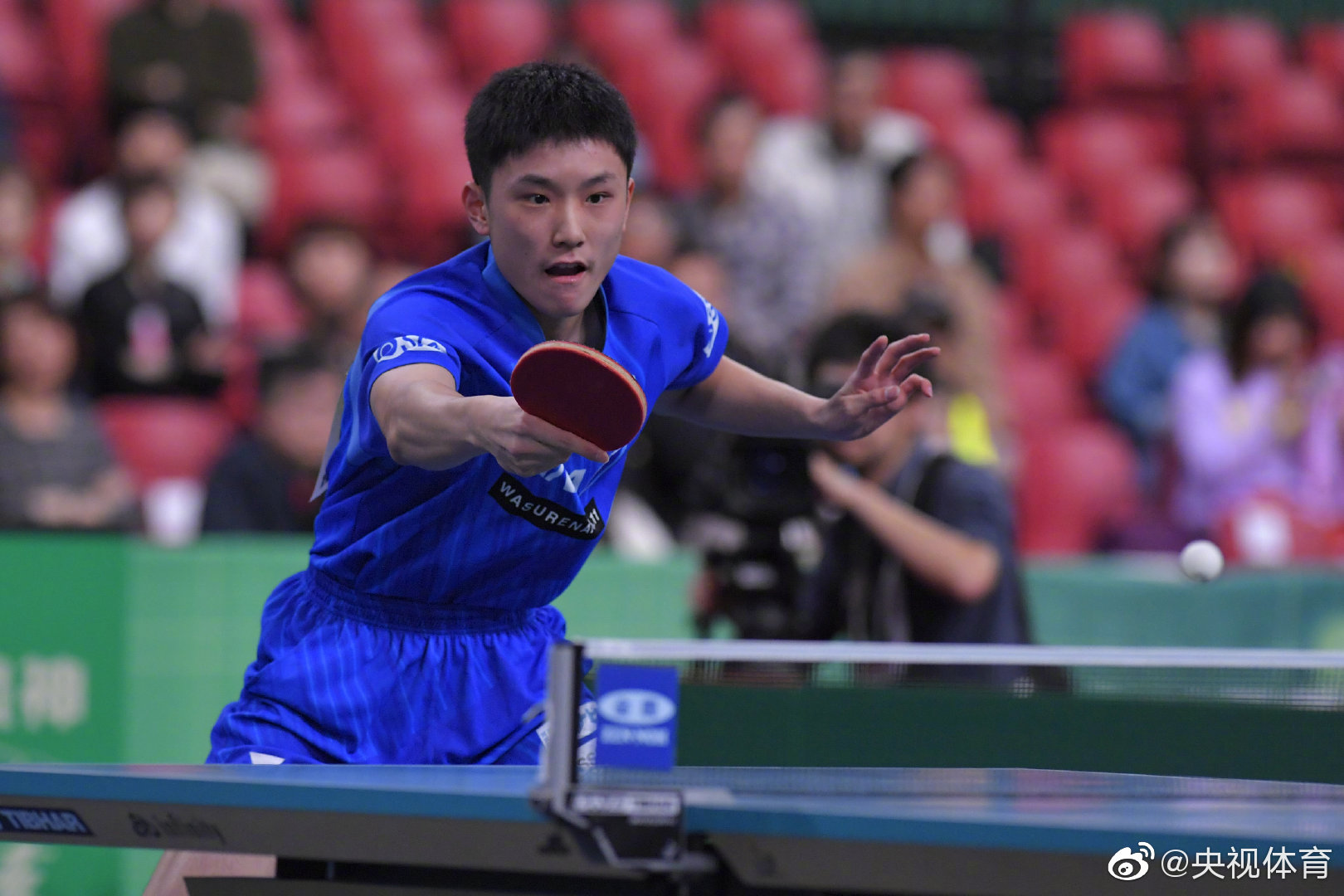乒乓球——男子世界杯：日本选手张本智和晋级四强_威海