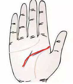 简单的手 ab0bd8a4bef74e269d28a66c8c287686.png