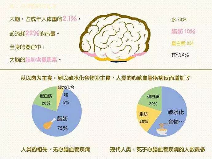 《谷物大脑》颠覆了我们原有的食物营养观念,我们一直被人倡导要多吃