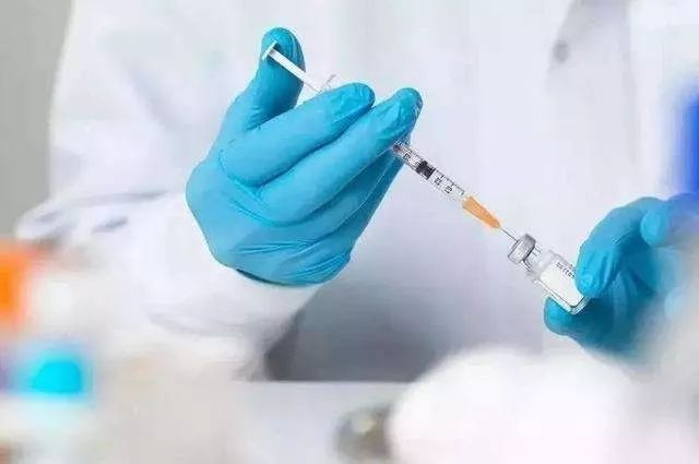 b3769775b6e5455e9fda15848d917a21.jpeg
