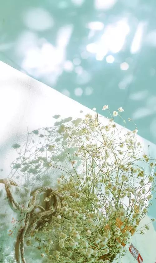 不近人情的仁慈