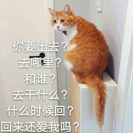 猫咪心情包合集|我没事,我很快乐
