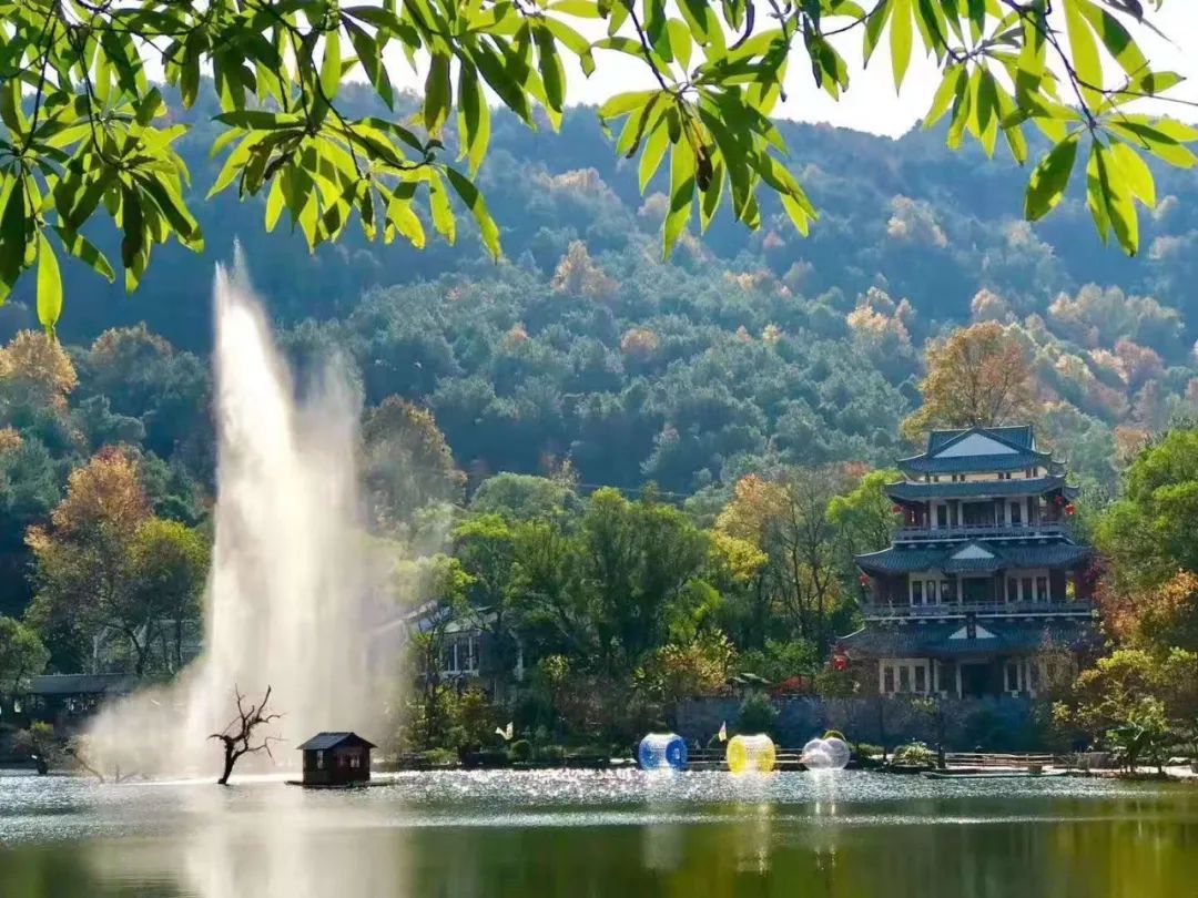 两人同行,一人免单,我在逍遥湖等你来_景区