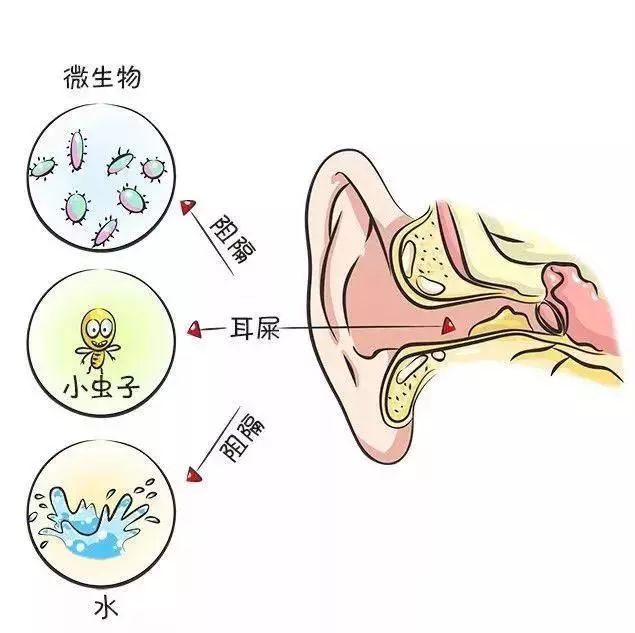 ，千万不能清洁过度。整得太干净了，反而害了娃。该偷懒时就偷懒no.1耳朵每个人都会有耳屎，小宝宝也不
