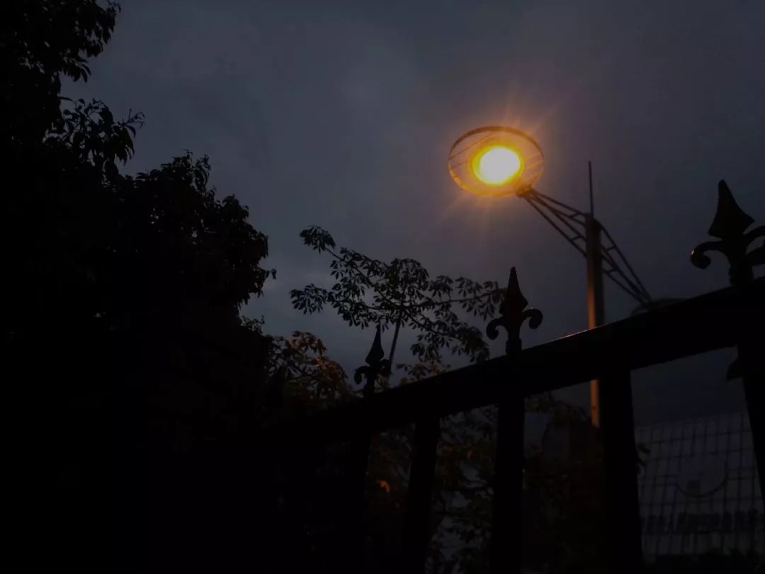 c687abd36195420caa432cdadafab1c5.jpeg