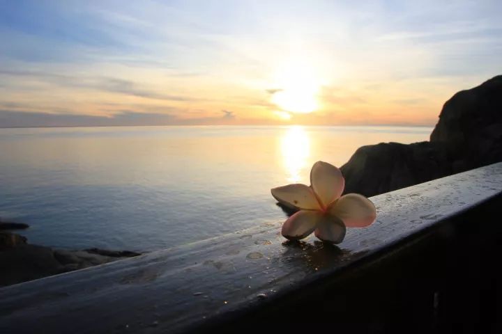 面朝大海春暖花开简谱
