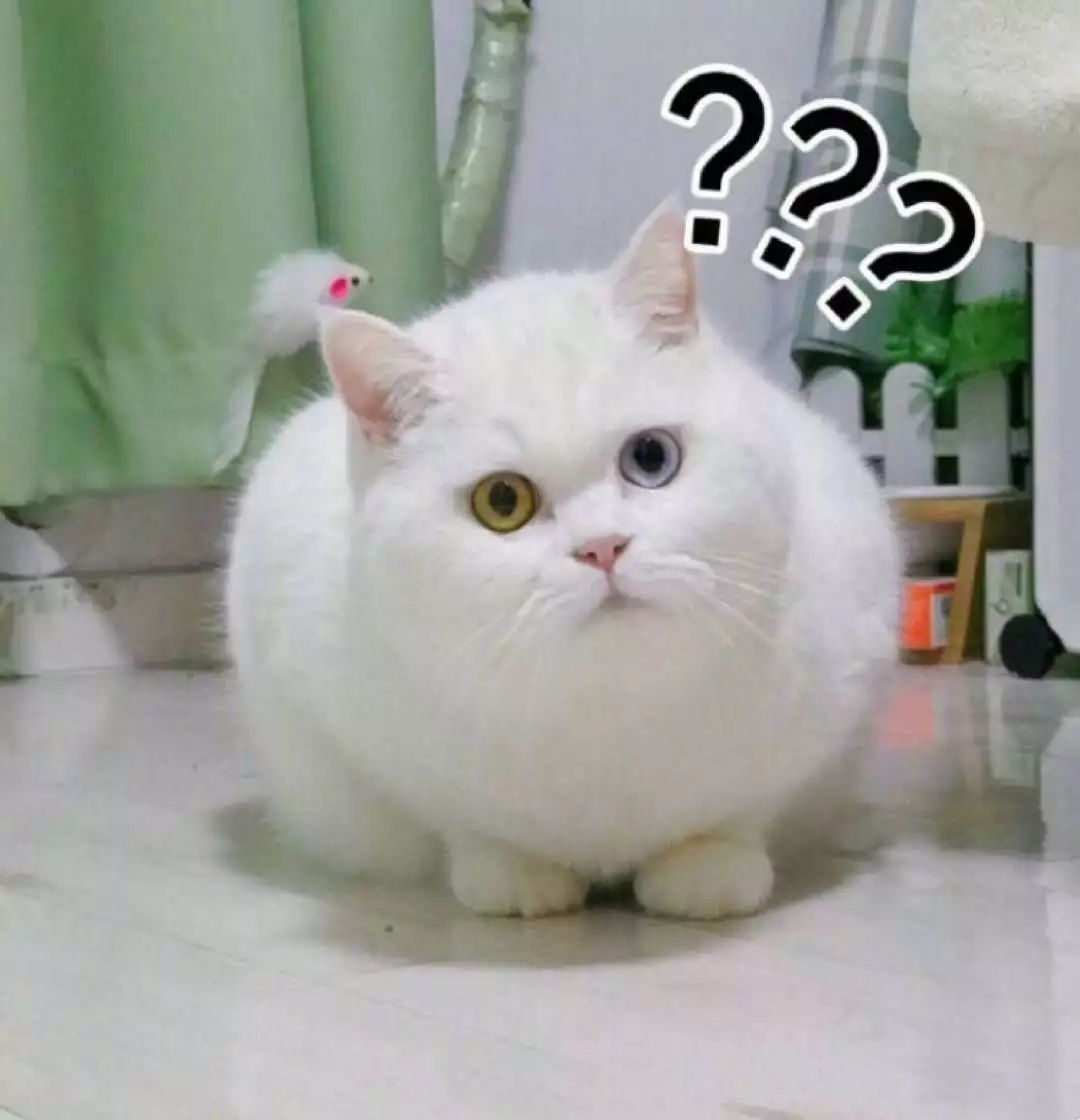 (一脸茫然的我看向室友求救) 室友:我爸爸是说,你是哪里人?