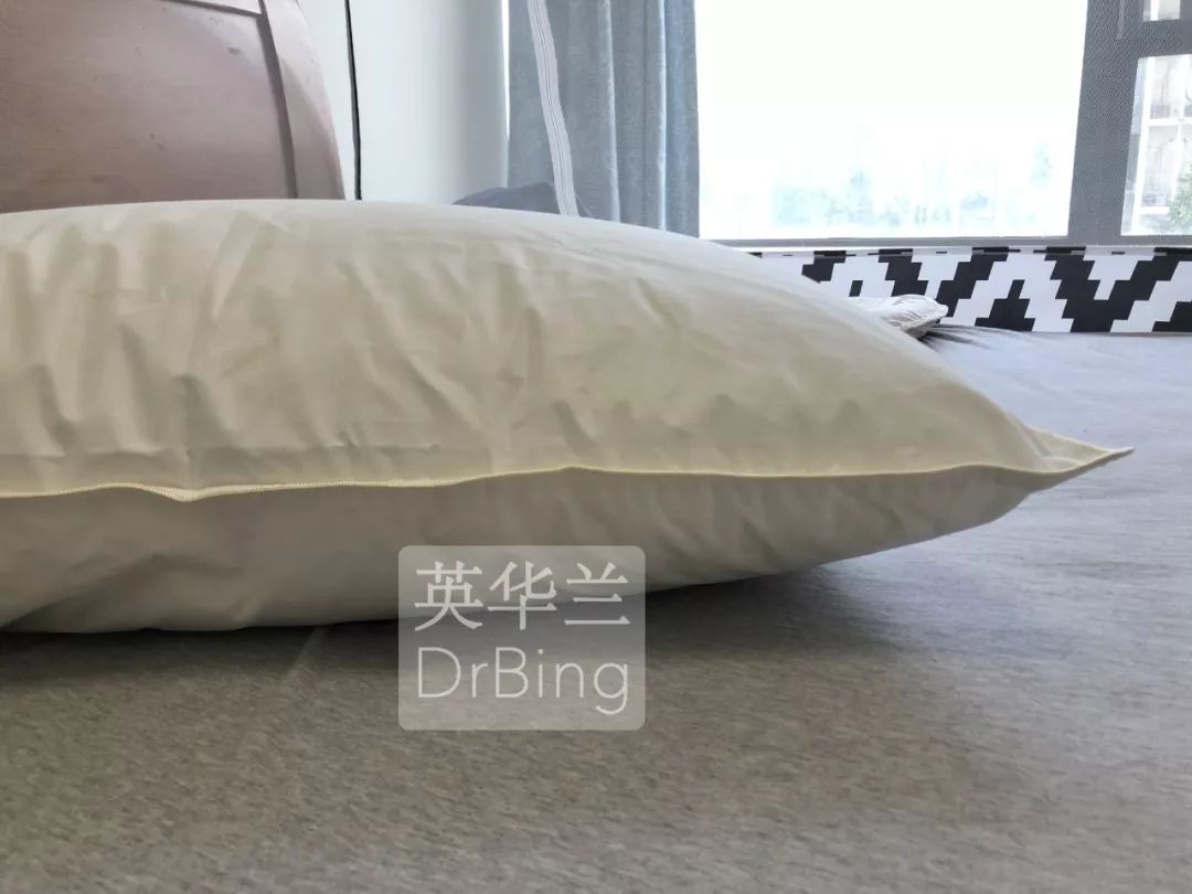 什么酒店的枕头好 e858de7420c647d0939df18b3b9b7898.jpeg