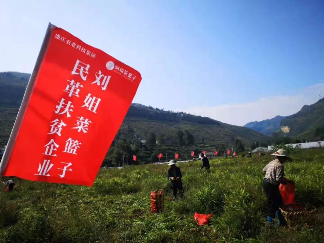 若姜县有多少人口_云浮市镇安有多少人口(2)