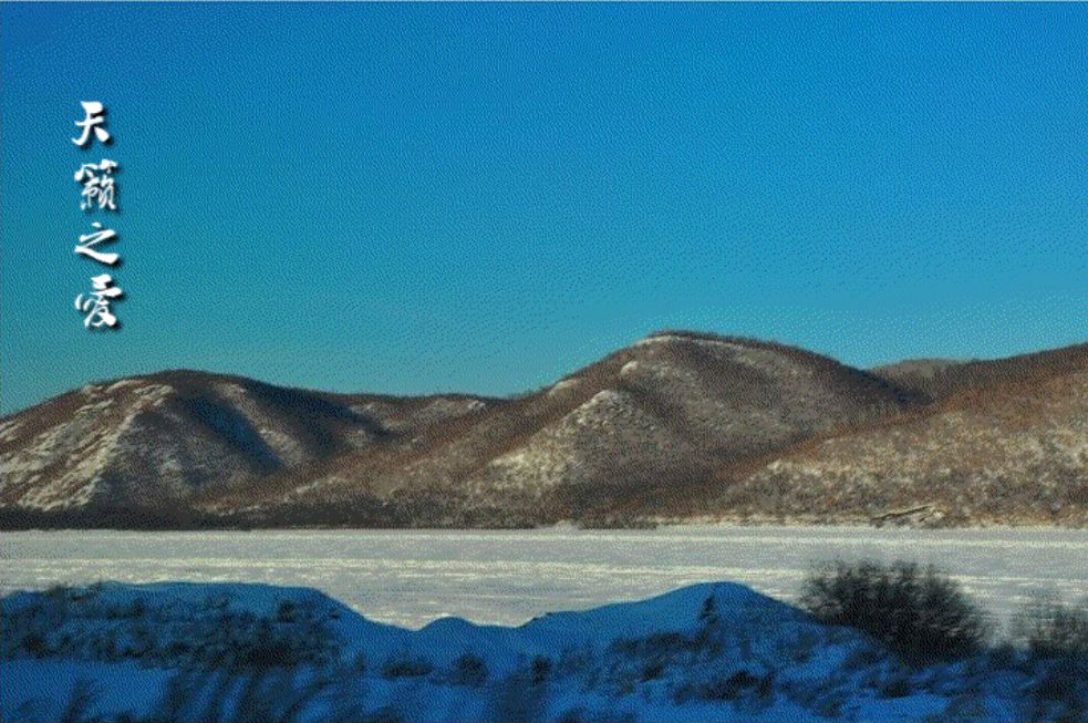 他们俩才是这首《天籁之爱》的原唱