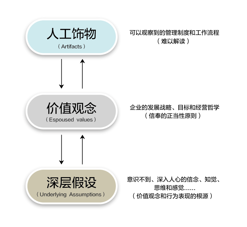 沙因文化三层次