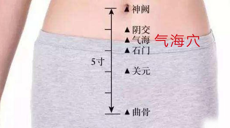 肚脐简谱_美女肚脐(2)