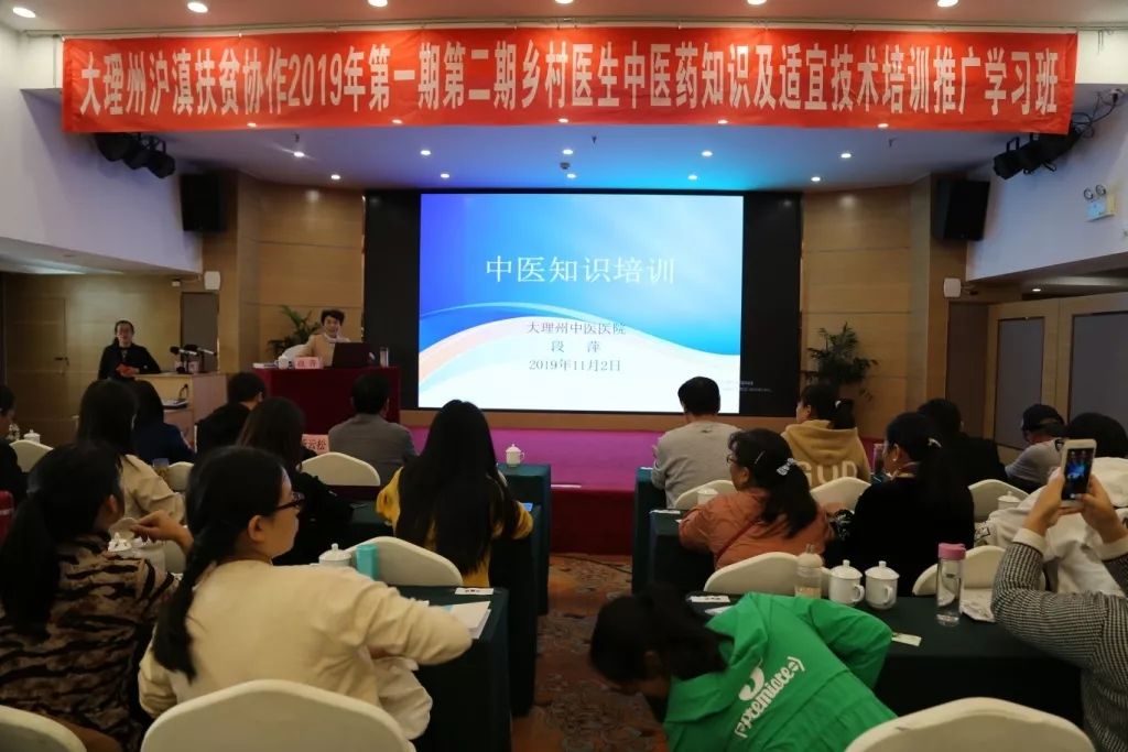 推进中医药适宜技术培训,加强中医药人才培养