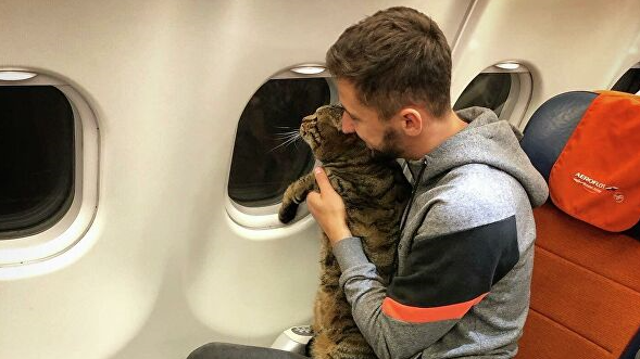 俄男子携宠物猫登机被拒原因竟是这个