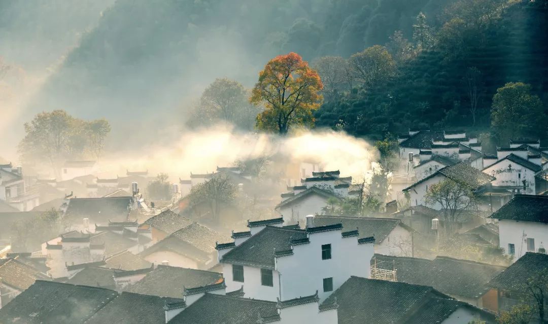 商朝人口森林_商朝服饰