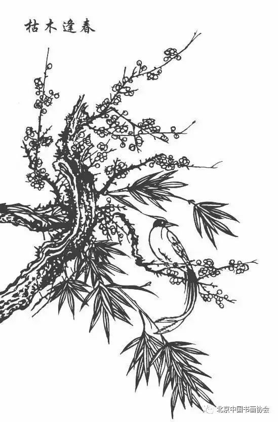 中国传统吉祥图案白描稿