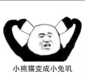1753c21372994a32bad1b79a0a8b7784.jpeg
