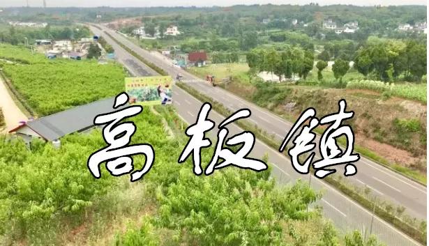 高板镇回复