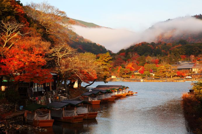 京都岚山的秋日,不仅于树枝上的短暂盛放,更在于红叶凋落后,在山野间