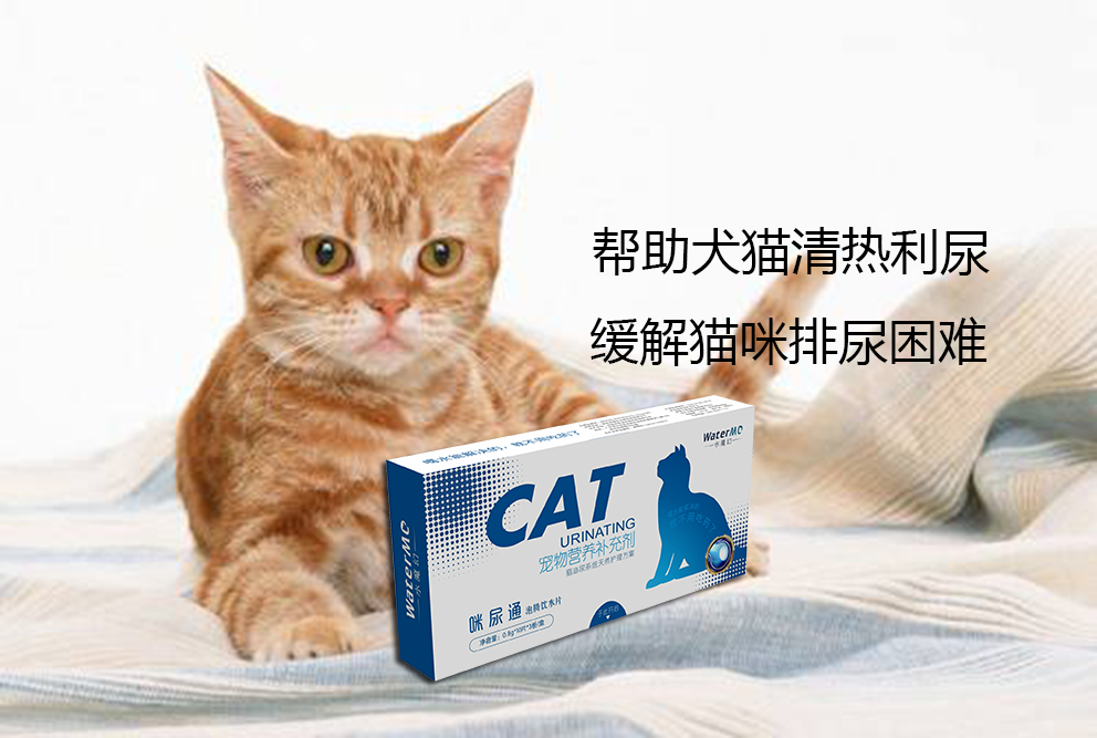 你给猫咪吃过糖吗？它们根本尝不出甜味！