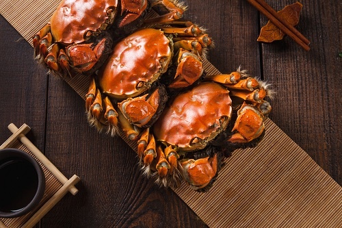 物种日志|秋日必吃的大闸蟹，李白、苏东坡都曾为它疯狂_螃蟹