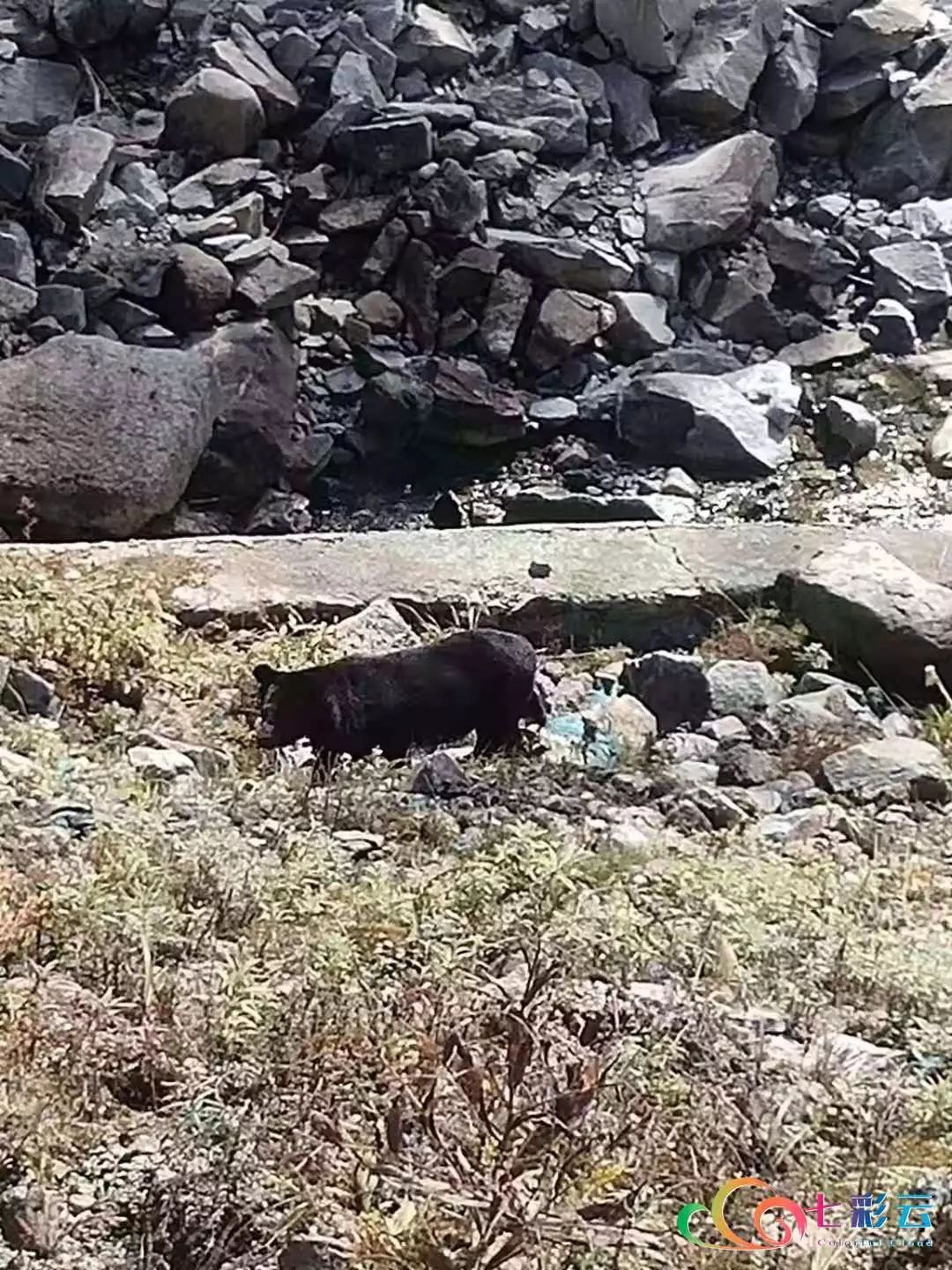 贡山县有多少人口_贡山县