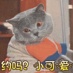 71282feccdd7426fa9a66a297b9a6be6.gif