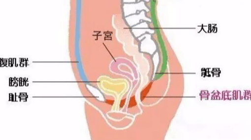 901633a690b94175b10dc9e87dc3c246.png