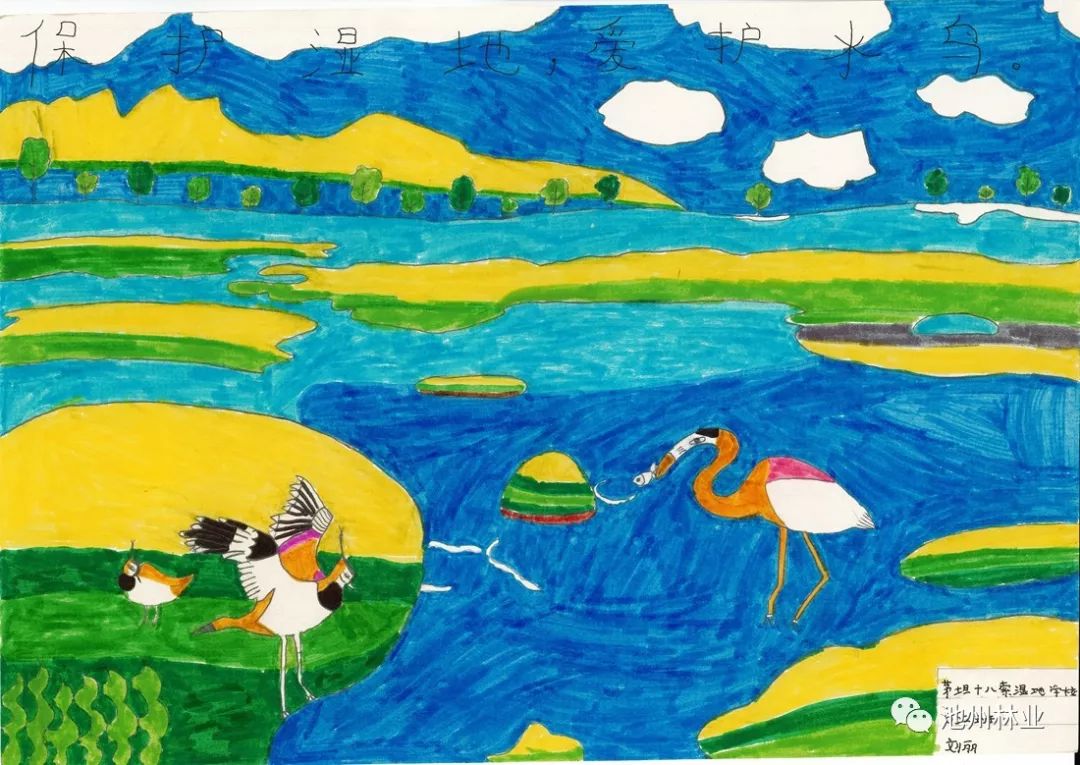 池州市小学生湿地绘画作品展来啦!有你家娃儿的吗?