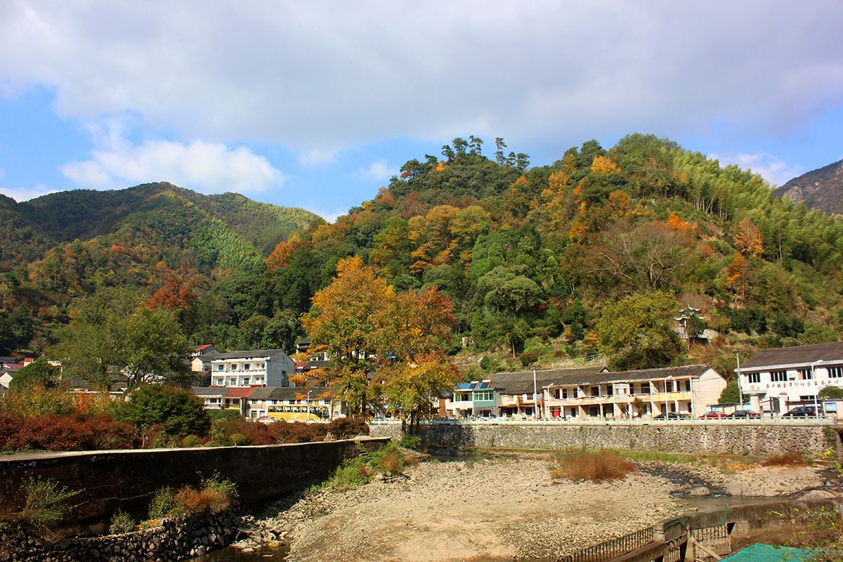 樟木村人口_广西贵港樟木翚村图(2)