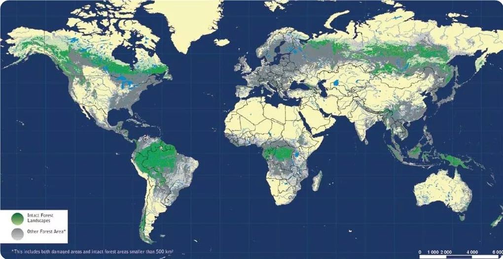 亚太地区人口_中原地区人口馍图片(2)