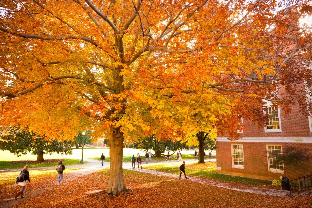 全美最美秋天校园你的学校进榜了吗