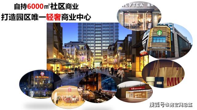 深圳精英人口_深圳人口(2)