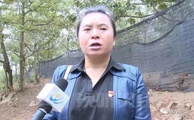砚山现有人口_砚山梦幻大世界游乐园(2)