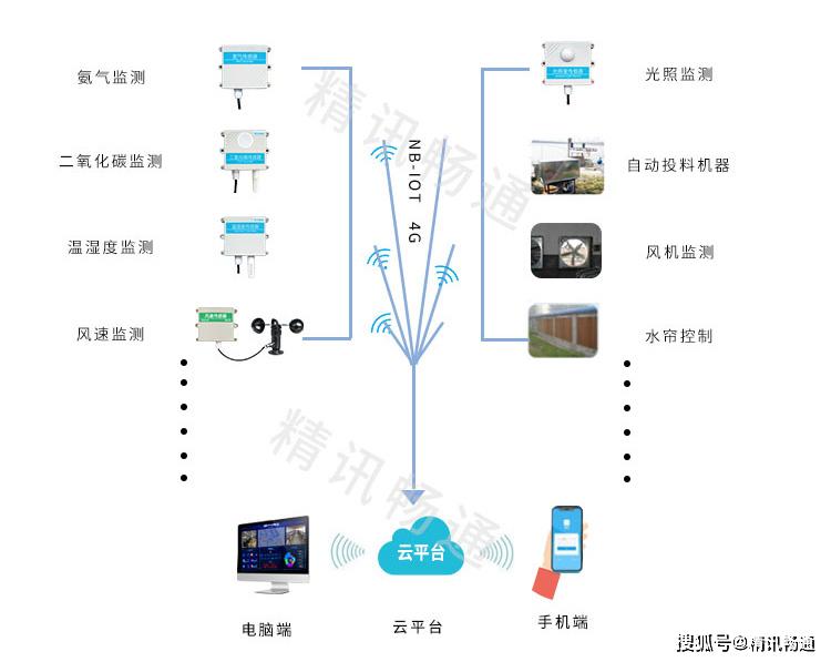 精讯畅通智慧养猪智慧养猪解决方案智能化养猪
