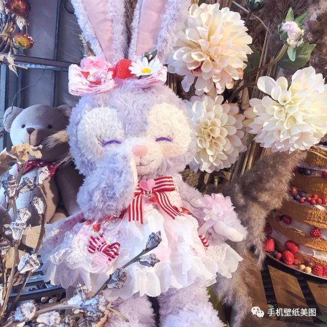 星黛露头像大全,星黛露壁纸