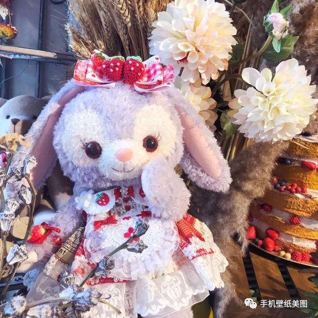 星黛露头像大全,星黛露壁纸