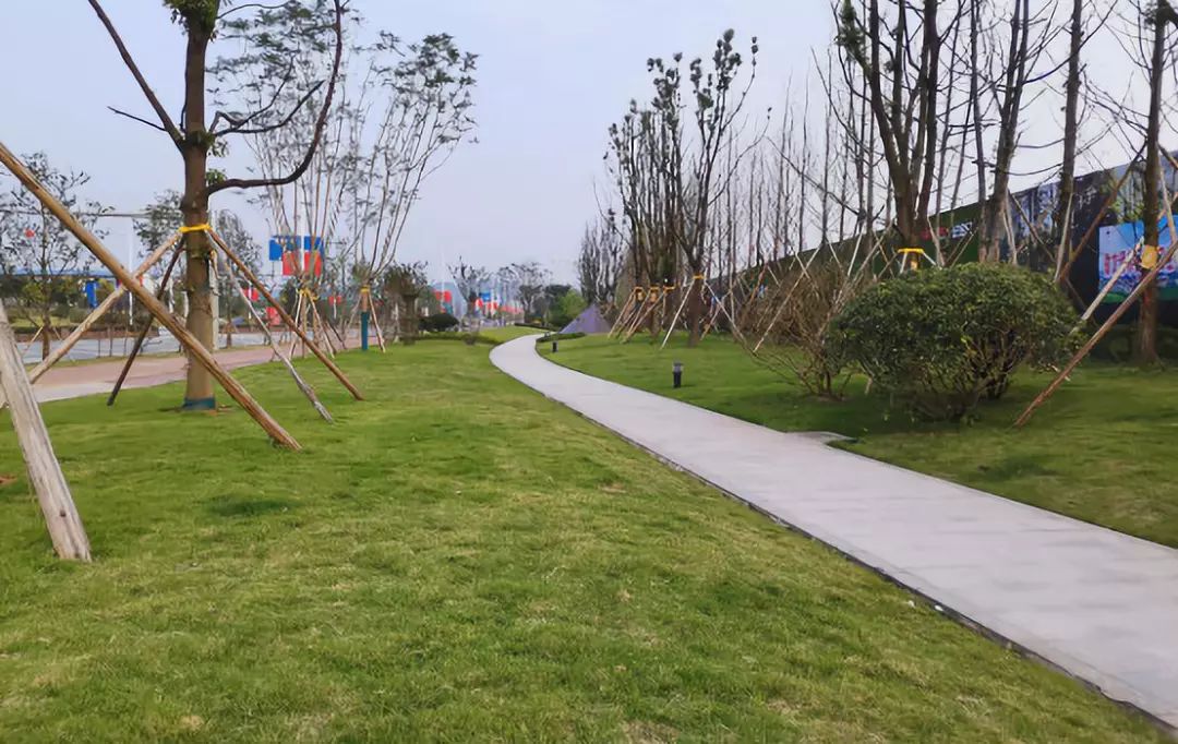 世纪金马旺龙湖·揽景升级500多米市政