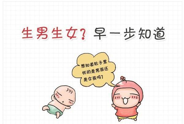 刚怀孕的人梦见什么会生男孩？解读孕期梦境与性别预示的奥秘